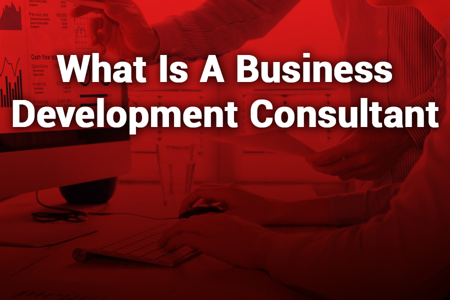 What is a Business Development Consultant? A Comprehensive Guide