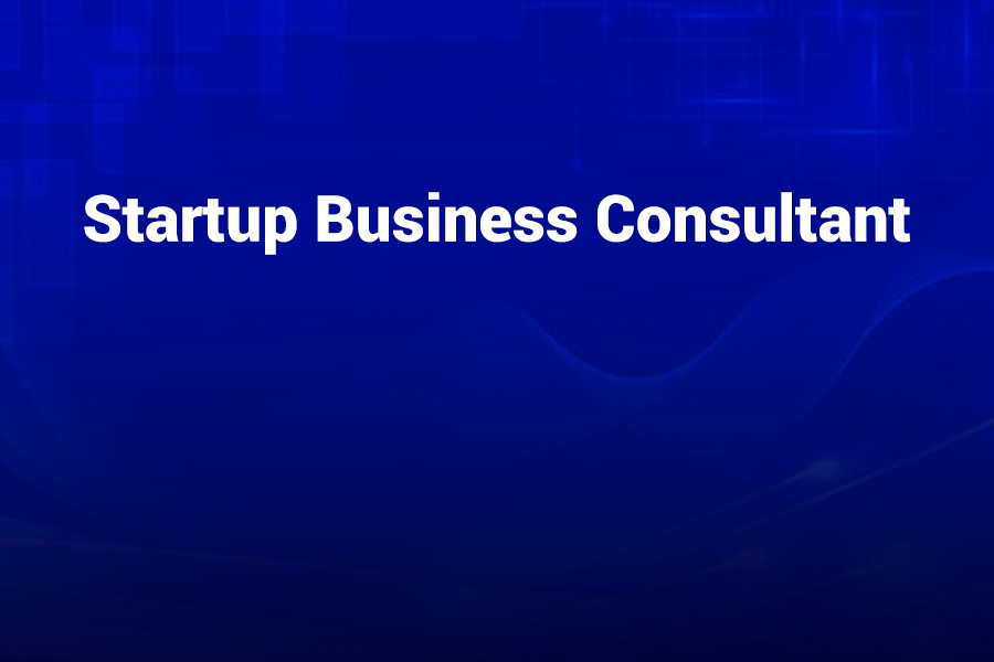 Startup Business Consultant for Success